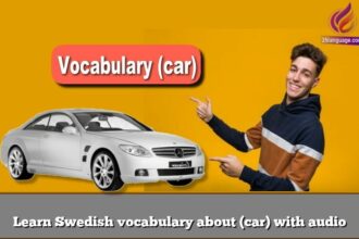Learn Swedish vocabulary about (car) with audio