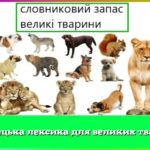 Німецька лексика для великих тварин