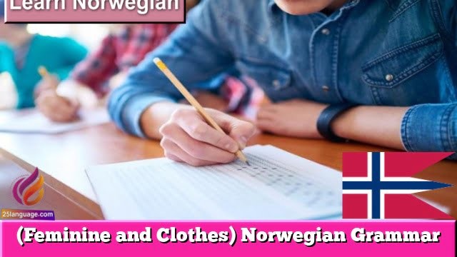 (Feminine and Clothes) Norwegian Grammar