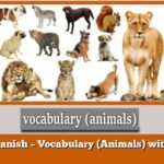 Learn Danish – Vocabulary (Animals) with audio