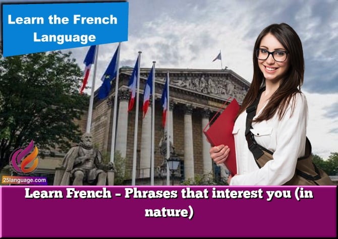 Learn French – Phrases that interest you (in nature)