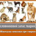 Німецька лексика про тварин