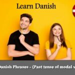 Learn Danish Phrases – (Past tense of modal verbs 2)