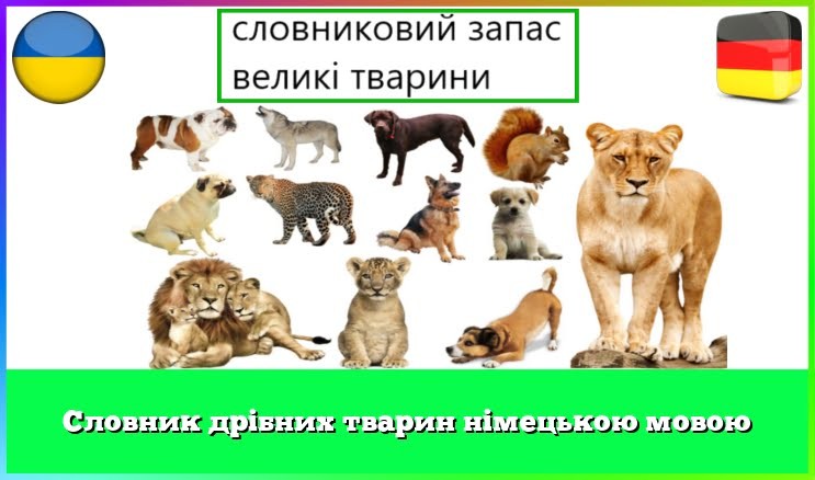 Словник дрібних тварин німецькою мовою