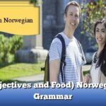 (Adjectives and Food) Norwegian Grammar