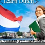 Dutch Grammar (Feminine and Clothes)