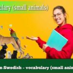Learn Swedish – vocabulary (small animals)