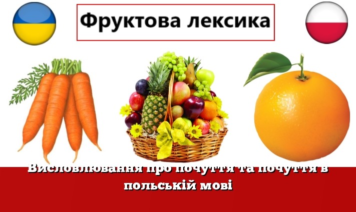 Висловлювання про почуття та почуття в польській мові