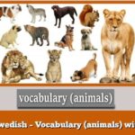 Learn Swedish – Vocabulary (animals) with audio