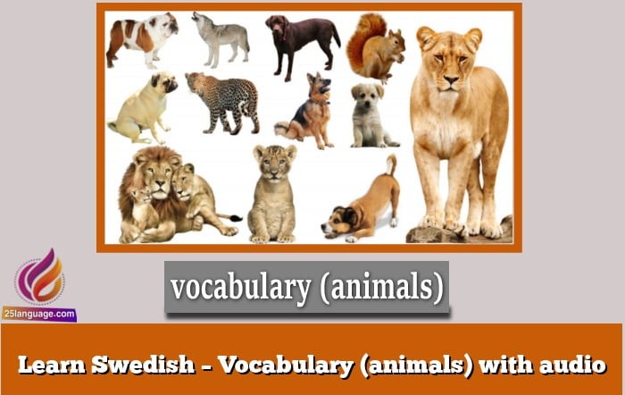 Learn Swedish – Vocabulary (animals) with audio