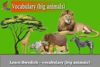 Learn Swedish – vocabulary (big animals)