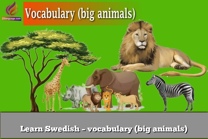 Learn Swedish – vocabulary (big animals)