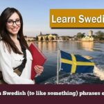 Learn Swedish (to like something) phrases easily