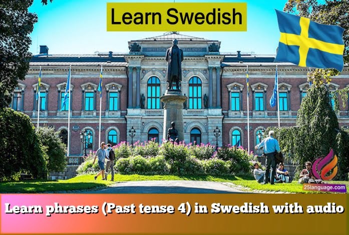 Learn phrases (Past tense 4) in Swedish with audio