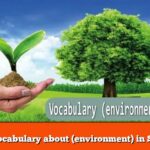 Learn vocabulary about (environment) in Swedish