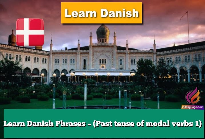 Learn Danish Phrases – (Past tense of modal verbs 1)