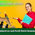 (Adjectives and Food) Dutch Grammar