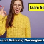 (Adverbs and Animals) Norwegian Grammar
