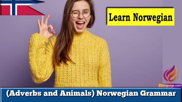 (Adverbs and Animals) Norwegian Grammar