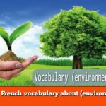 Learn French vocabulary about (environment)