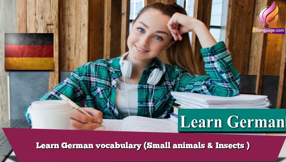 Learn German vocabulary (Small animals & Insects )