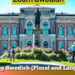 Learning Swedish (Plural and Languages)