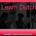 Learn Dutch – Phrases You Use (At the Zoo)