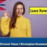 (Present Tense ) Norwegian Grammar