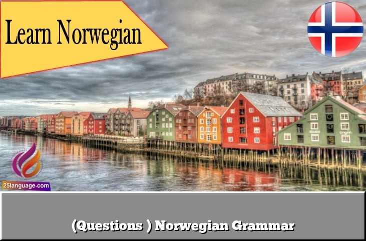 (Questions ) Norwegian Grammar