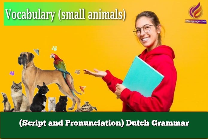 (Script and Pronunciation) Dutch Grammar