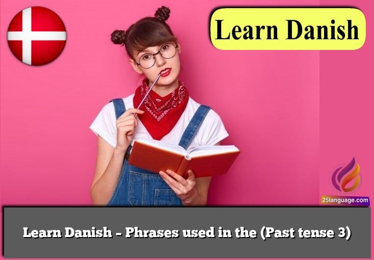 Learn Danish – Phrases used in the (Past tense 3)