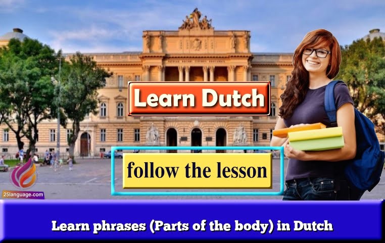 Learn phrases (Parts of the body) in Dutch