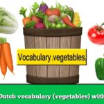 Learn Dutch vocabulary (vegetables) with audio