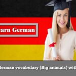 Learn German vocabulary (Big animals) with audio