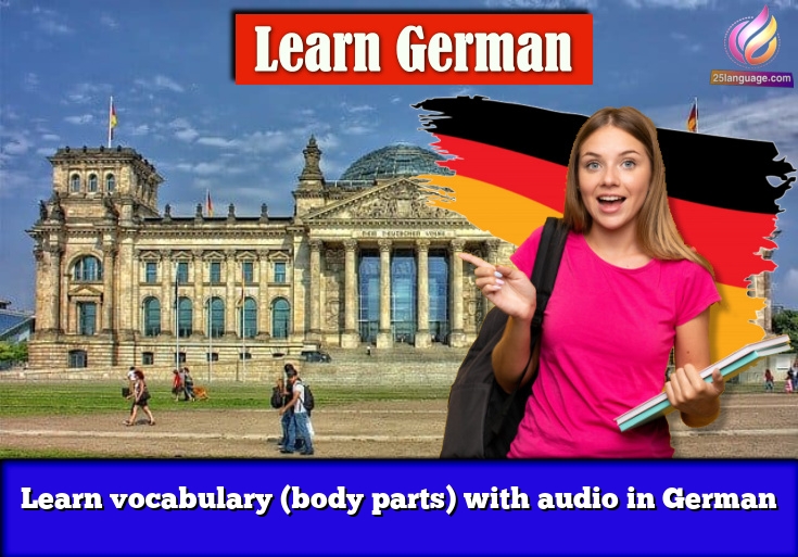 Learn vocabulary (body parts) with audio in German
