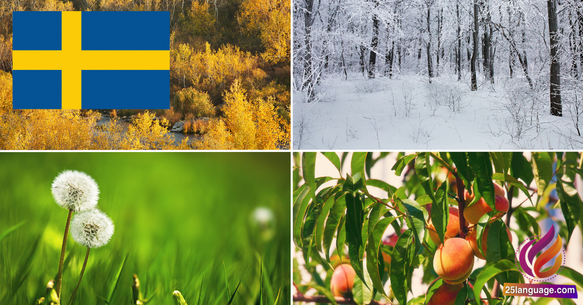 The seasons phrases in Swedish