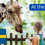 At the Zoo in Swedish