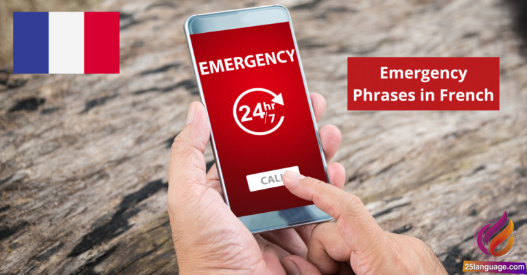 Emergency Phrases in French